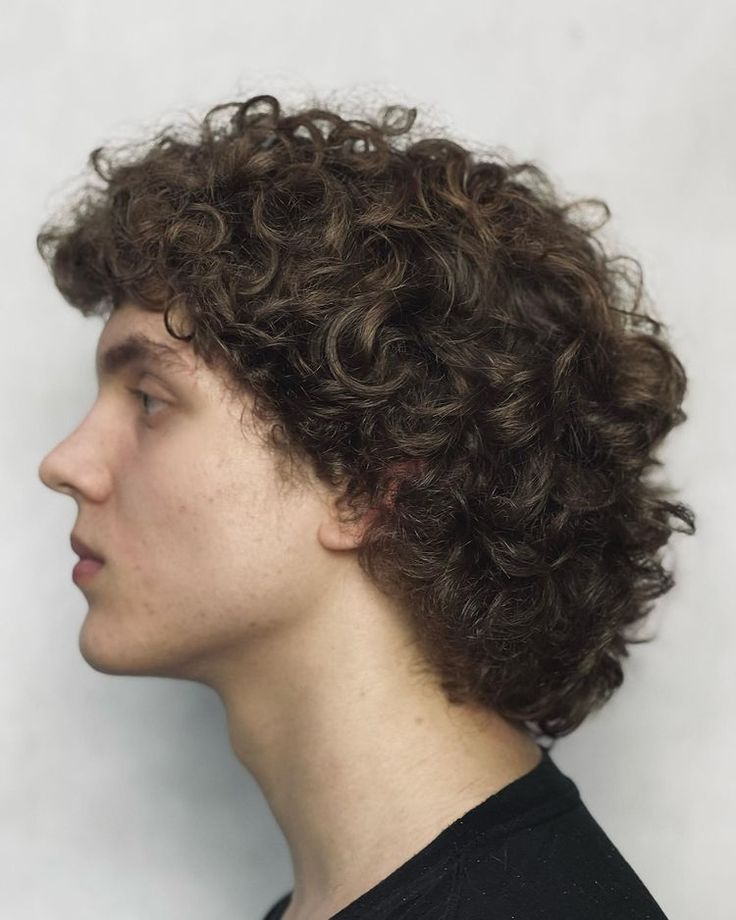 Curly Wolf Cut Men